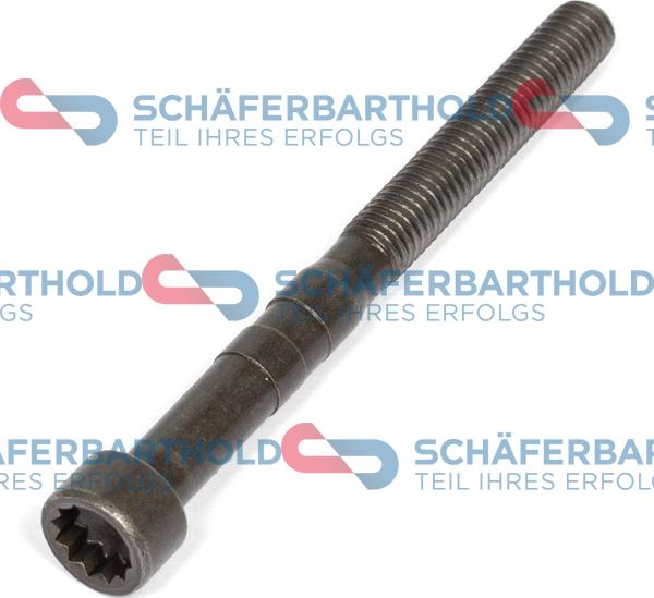 Schferbarthold 317 18 777 01 11 - Bolt, rocker arm shaft car-mod.net
