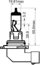 SCT-MANNOL 202990 - Bulb, headlight car-mod.net