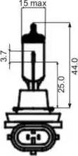 SCT-MANNOL 202617 - Bulb, fog light car-mod.net