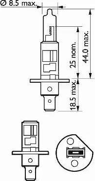 SCT-MANNOL 202631 - Bulb, spotlight car-mod.net