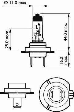 SCT-MANNOL 202136 - Bulb, spotlight car-mod.net