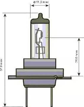 SCT-MANNOL 202174 - Bulb, spotlight car-mod.net