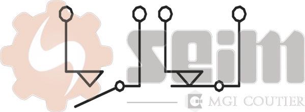 Seim CS53 - Switch, clutch control (cruise control) car-mod.net