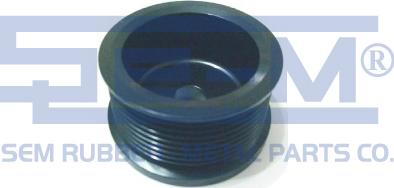 Sem Lastik 10006 - Pulley, alternator, freewheel clutch car-mod.net