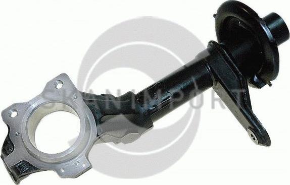 SKANIMPORT 16-8841 - Steering Knuckle, wheel suspension car-mod.net