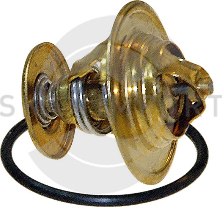 SKANIMPORT TV-1 - Coolant thermostat / housing car-mod.net
