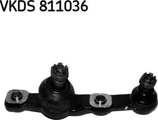 SKF VKDS 811036 - Ball Joint car-mod.net