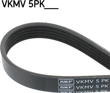 SKF VKMV 5PK970 - V-Ribbed Belt car-mod.net