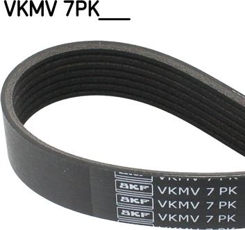 SKF VKMV 7PK1647 - V-Ribbed Belt car-mod.net