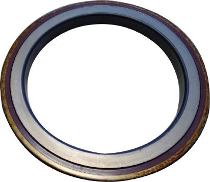 SKT 412388-V - Shaft Seal, differential car-mod.net