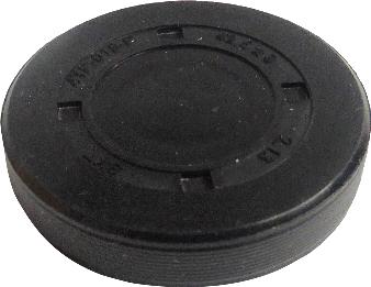 SKT 4TP019P - Plug, rocker arm shaft mounting bore car-mod.net