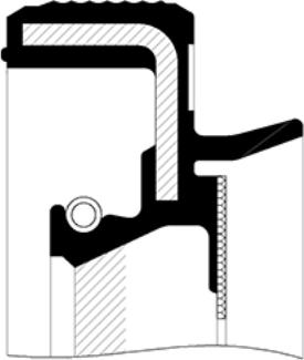 SKT 046118-FP - Shaft Seal, differential car-mod.net