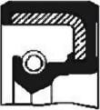 SKT 040182 - Shaft Seal, power take-off car-mod.net