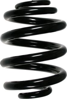 Spidan 85524 - Coil Spring car-mod.net