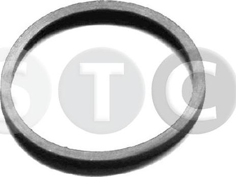 STC T402404 - Gasket, thermostat car-mod.net