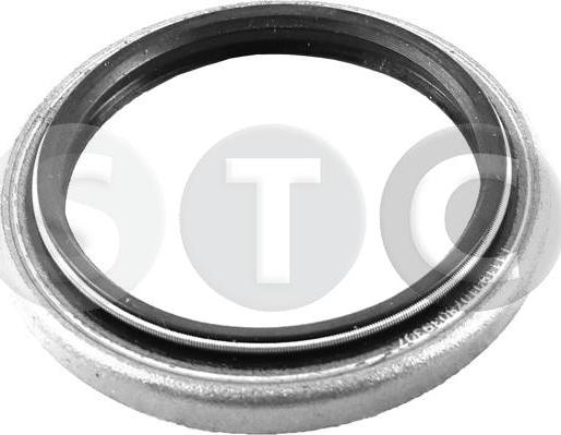 STC T439307 - Shaft Seal, differential car-mod.net