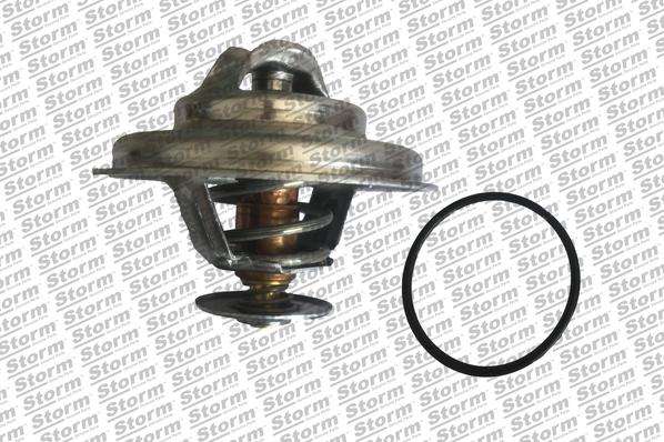 Storm 199069 - Coolant thermostat / housing car-mod.net