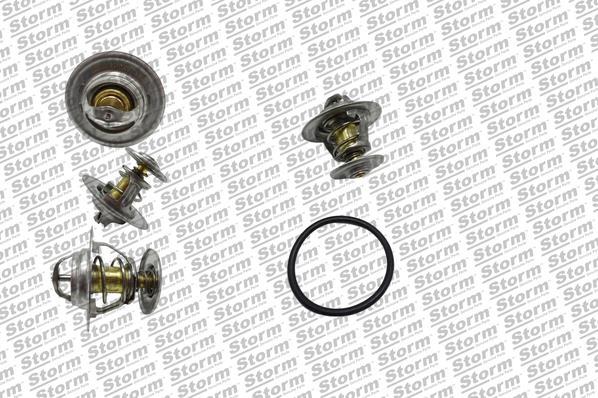 Storm 199066 - Coolant thermostat / housing car-mod.net