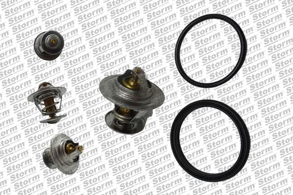 Storm 199036 - Coolant thermostat / housing car-mod.net