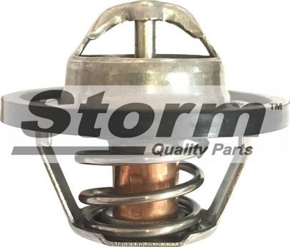 Storm 199028 - Coolant thermostat / housing car-mod.net