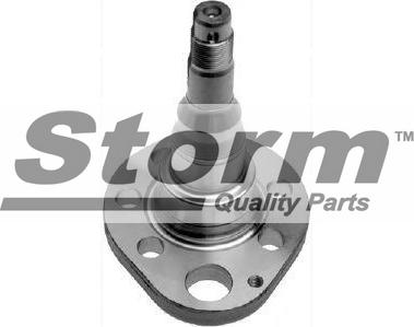 Storm F6049 - Steering Knuckle, wheel suspension car-mod.net