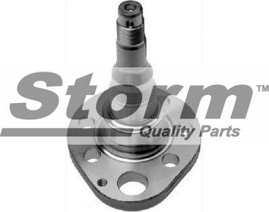 Storm F6048 - Steering Knuckle, wheel suspension car-mod.net