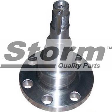 Storm F6073 - Steering Knuckle, wheel suspension car-mod.net