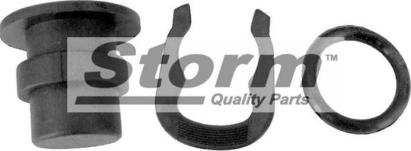 Storm F2050 - Sealing Plug, coolant flange car-mod.net