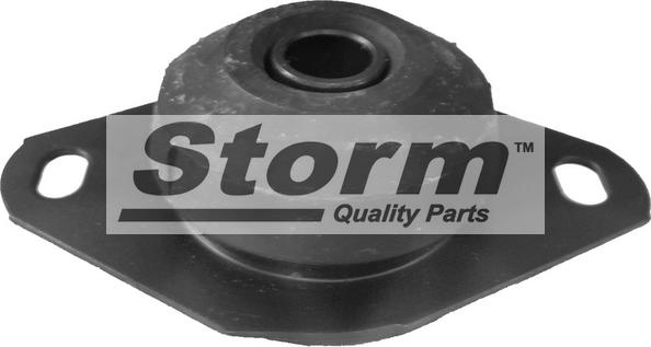 Storm F2017 - Holder, engine mounting car-mod.net