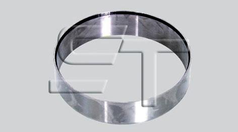 ST-Templin 08.170.1905.990 - Ring Gear, crankshaft car-mod.net