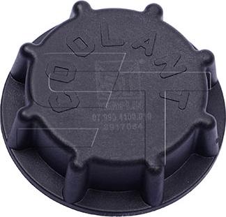 ST-Templin 07.990.4100.010 - Sealing Cap, radiator car-mod.net