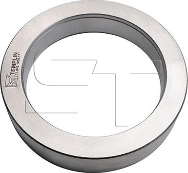 ST-Templin 11.040.1908.171 - Ring, wheel hub car-mod.net