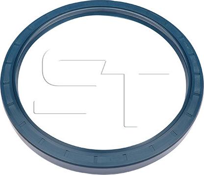 ST-Templin 11.060.3002.800 - Shaft Seal, wheel hub car-mod.net