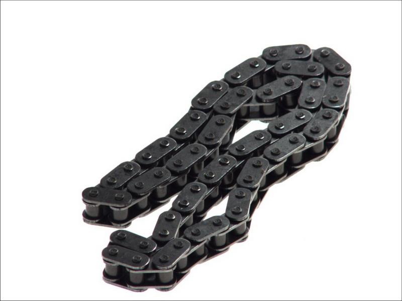 Swag 99 11 0021 - Timing Chain car-mod.net