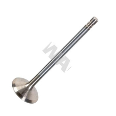 Swag 33 10 7698 - Inlet Valve car-mod.net