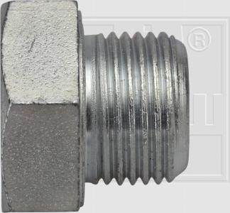 SWGAutomotive 243 001 011 16 - Sealing Plug, oil sump car-mod.net