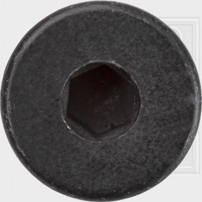 SWGAutomotive 243 001 025 16 - Sealing Plug, oil sump car-mod.net