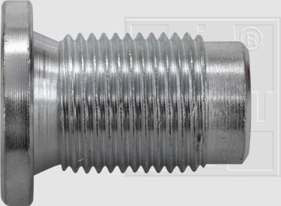SWGAutomotive 243 001 021 16 - Sealing Plug, oil sump car-mod.net