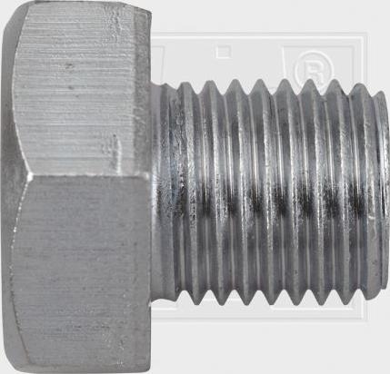 SWGAutomotive 243 001 027 16 - Sealing Plug, oil sump car-mod.net