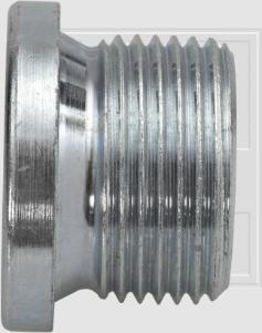 SWGAutomotive 243 106 002 16 - Screw Plug, transmission housing car-mod.net