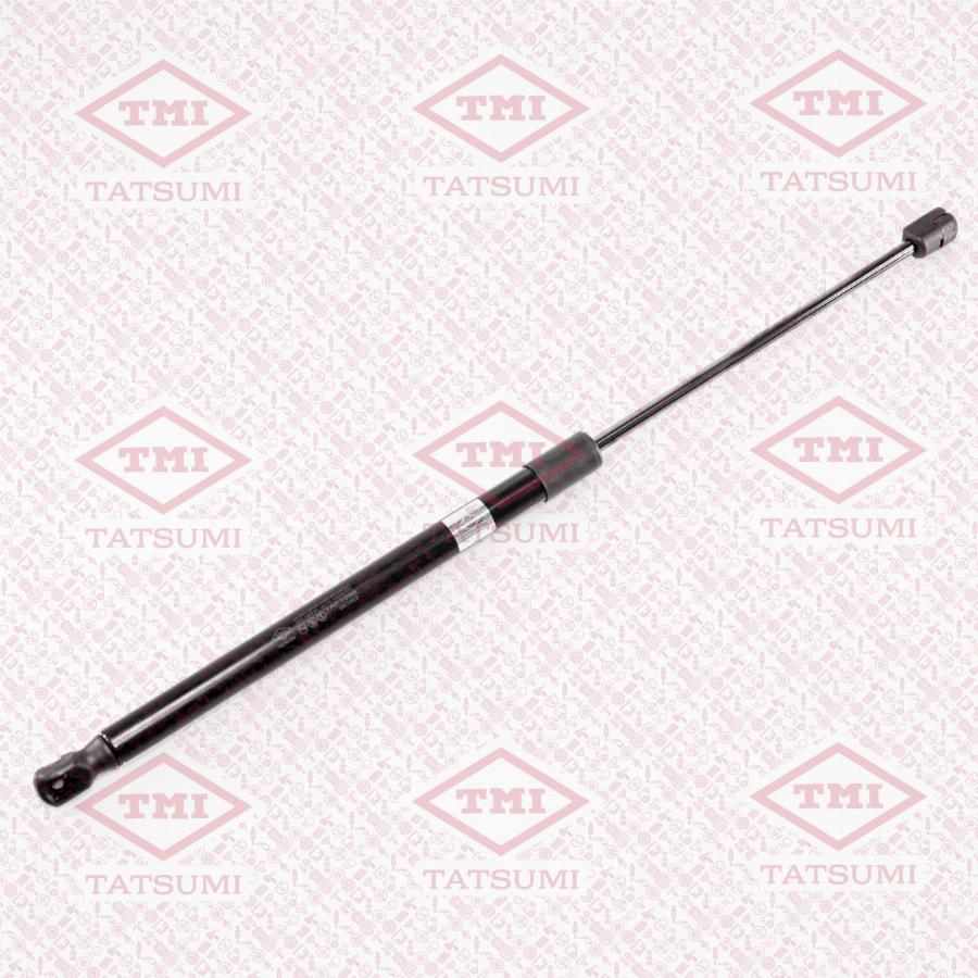 TATSUMI TAF1099 - Gas Spring, boot, cargo area car-mod.net
