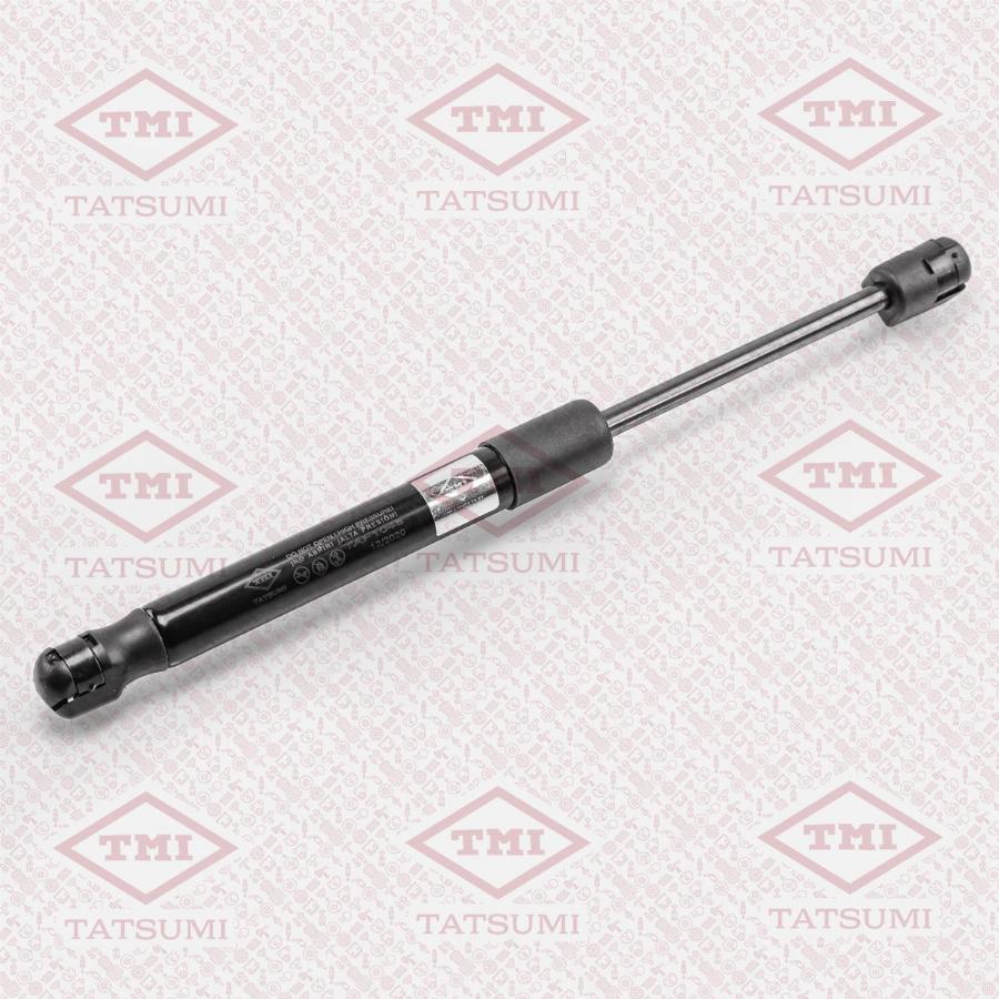 TATSUMI TAF1048 - Gas Spring, boot, cargo area car-mod.net