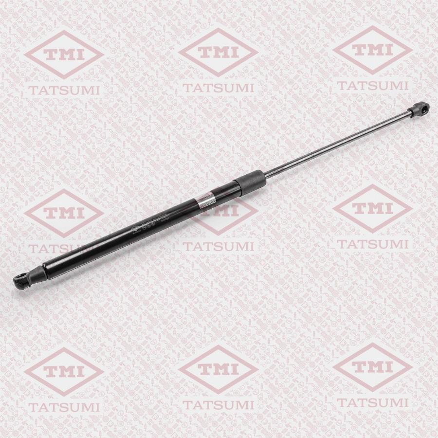 TATSUMI TAF1059 - Gas Spring, boot, cargo area car-mod.net