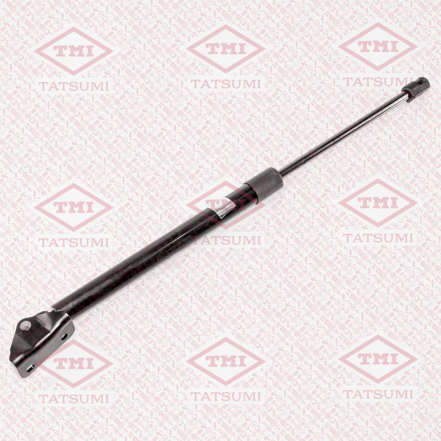TATSUMI TAF1067 - Gas Spring, boot, cargo area car-mod.net