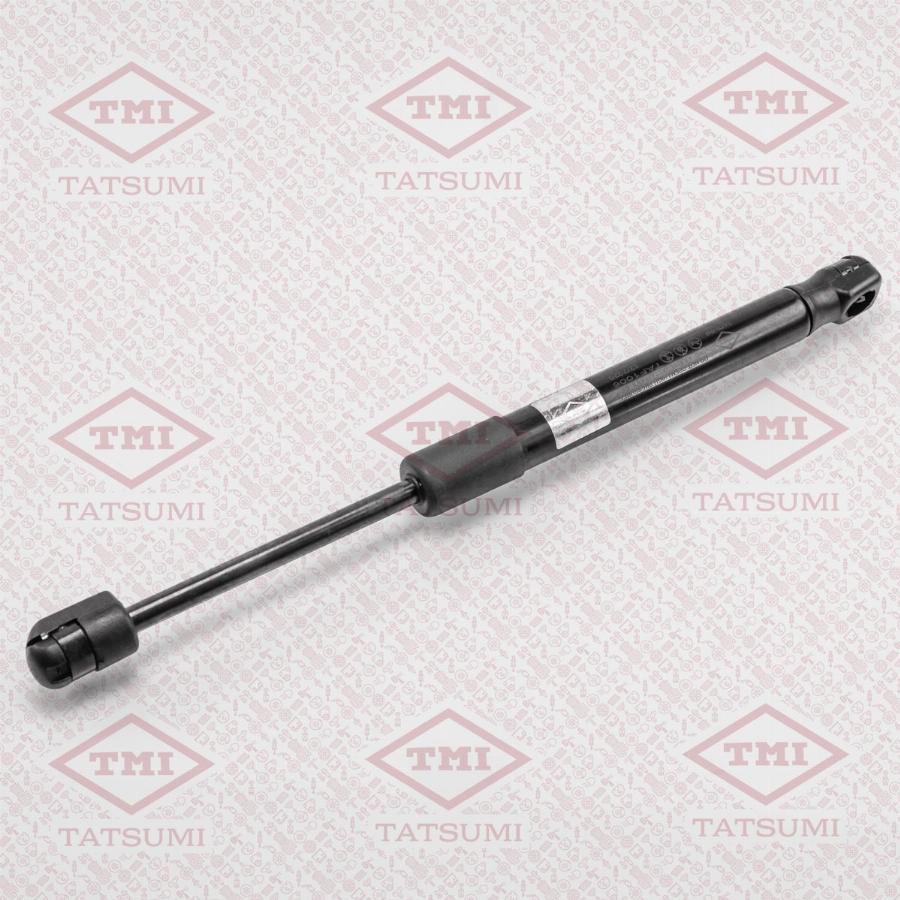 TATSUMI TAF1006 - Gas Spring, boot, cargo area car-mod.net