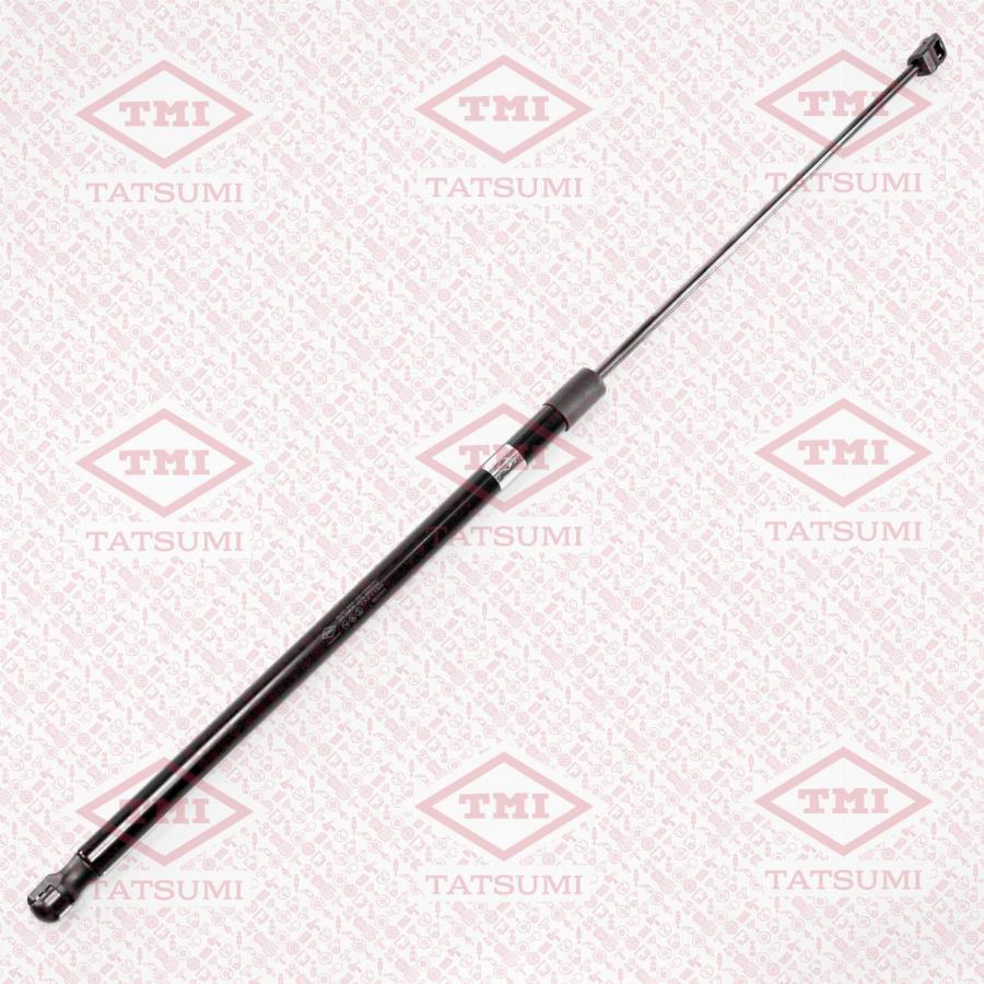 TATSUMI TAF1190 - Gas Spring, bonnet car-mod.net