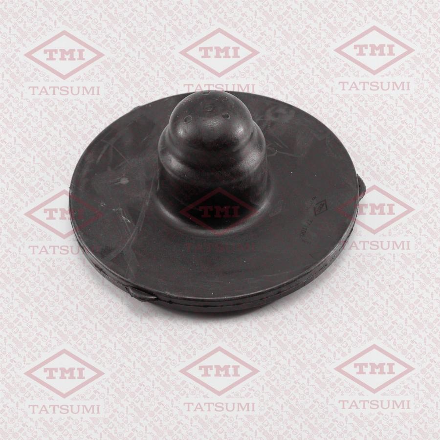 TATSUMI TAI1002 - Spring Mounting, frame car-mod.net