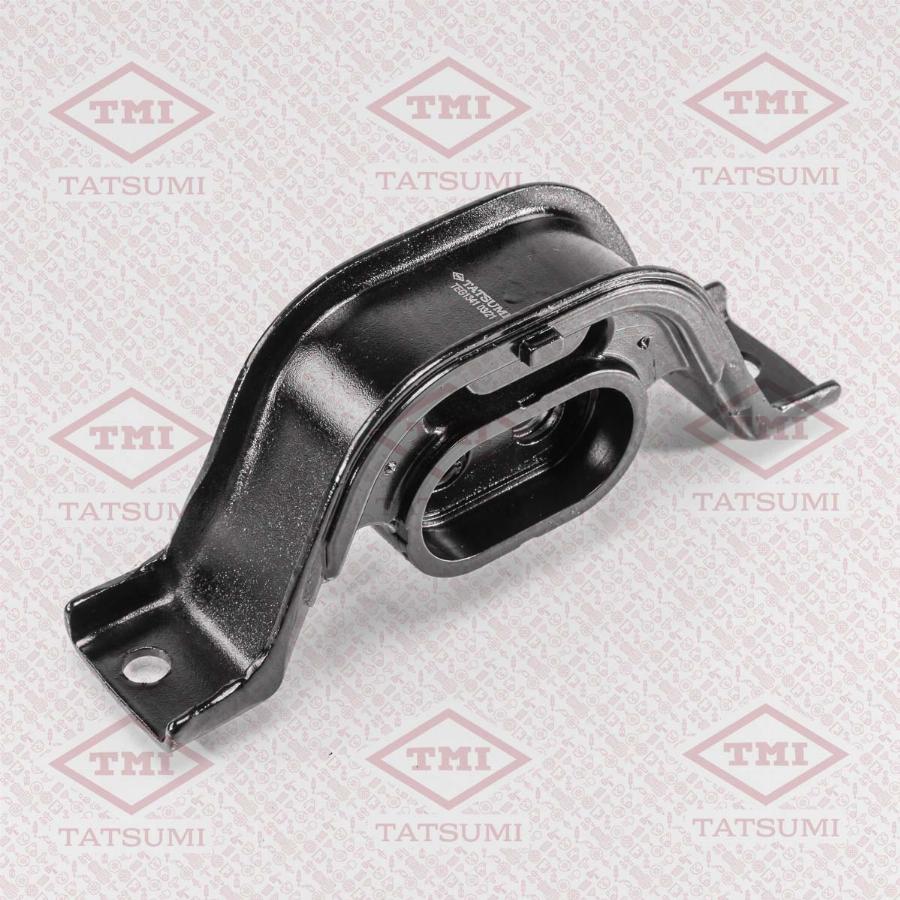 TATSUMI TEG1341 - Mounting, differential car-mod.net