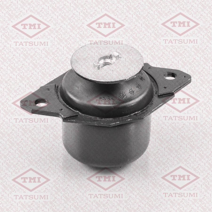 TATSUMI TEG1300 - Mounting, manual transmission support car-mod.net