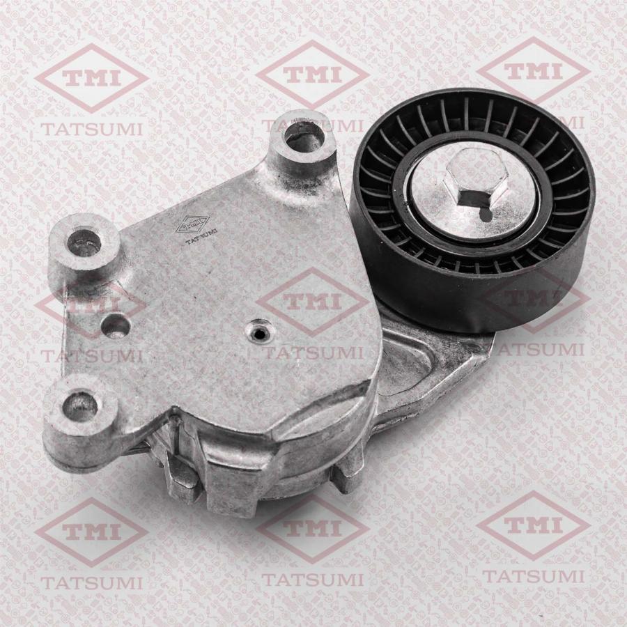 TATSUMI TFD1109 - Belt Tensioner, v-ribbed belt car-mod.net